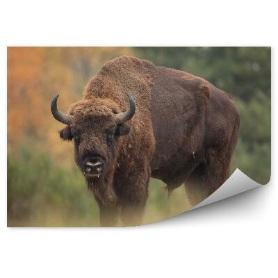 Fototapet pentru perete Zimbri Pe Fundalul Pădurii De Toamnă