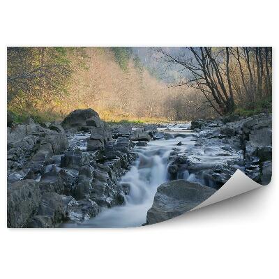 Fototapet Rezervația Naturală Sine Wiry, Cascadă, Copaci, Natură, Stânci, Munții Bieszczady