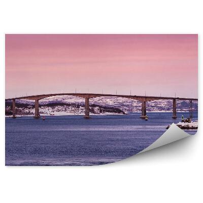 Fototapet pentru perete Peisaj pod iarnă zăpadă case