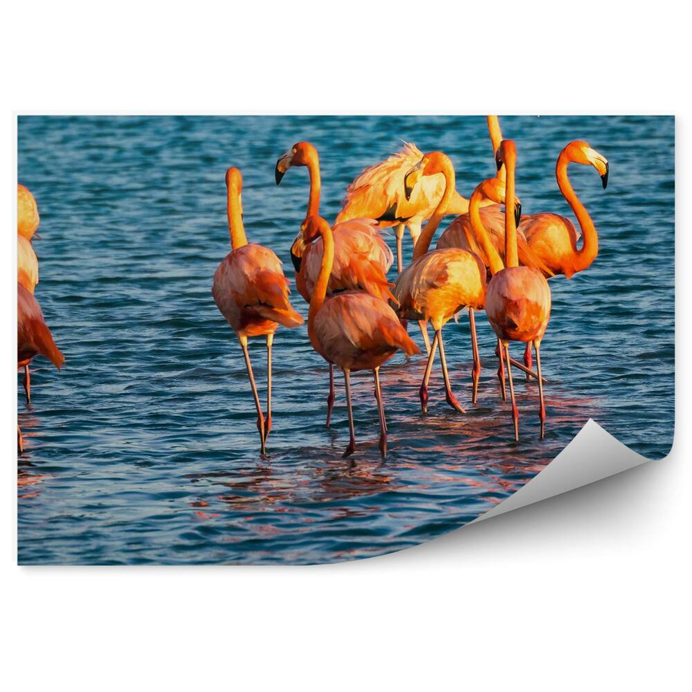 Fototapet vintage Flamingos Marea Caraibelor