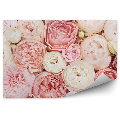 Fototapet perete Fundal roz bej flori