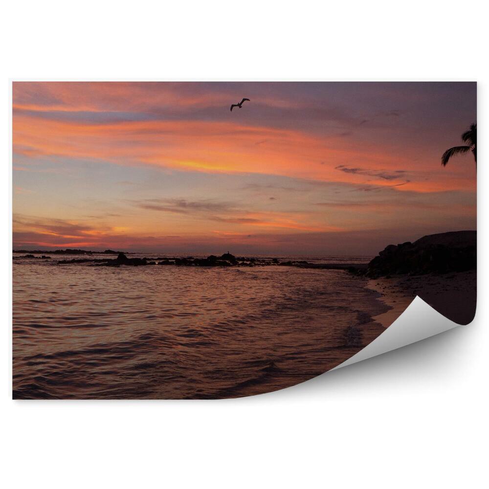 Decor fototapet Apus De Soare Plajă Palmieri Oceane Păsări Tropice