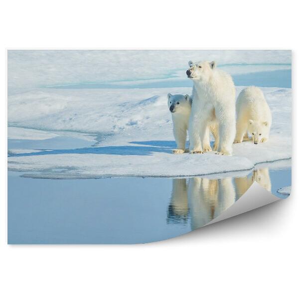 Fototapet vintage Un Urs Polar Cu Doi Pui