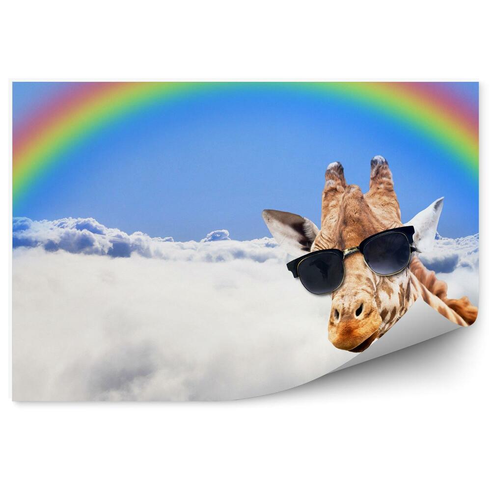 Fototapet Cap De Girafa Ochelari Cer Nori Curcubeu