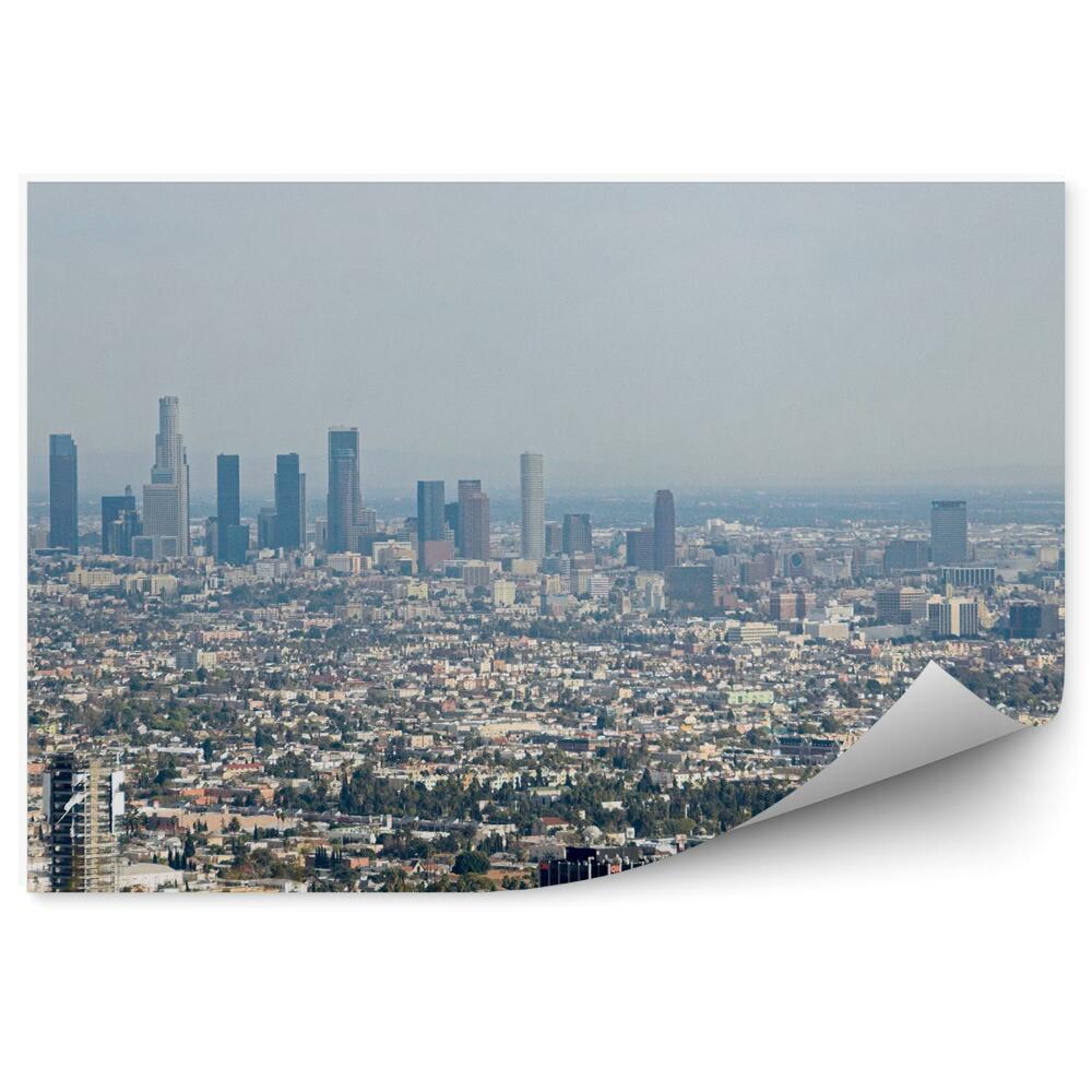 Fototapet pentru perete Vedere Aeriană A Los Angeles-Ului