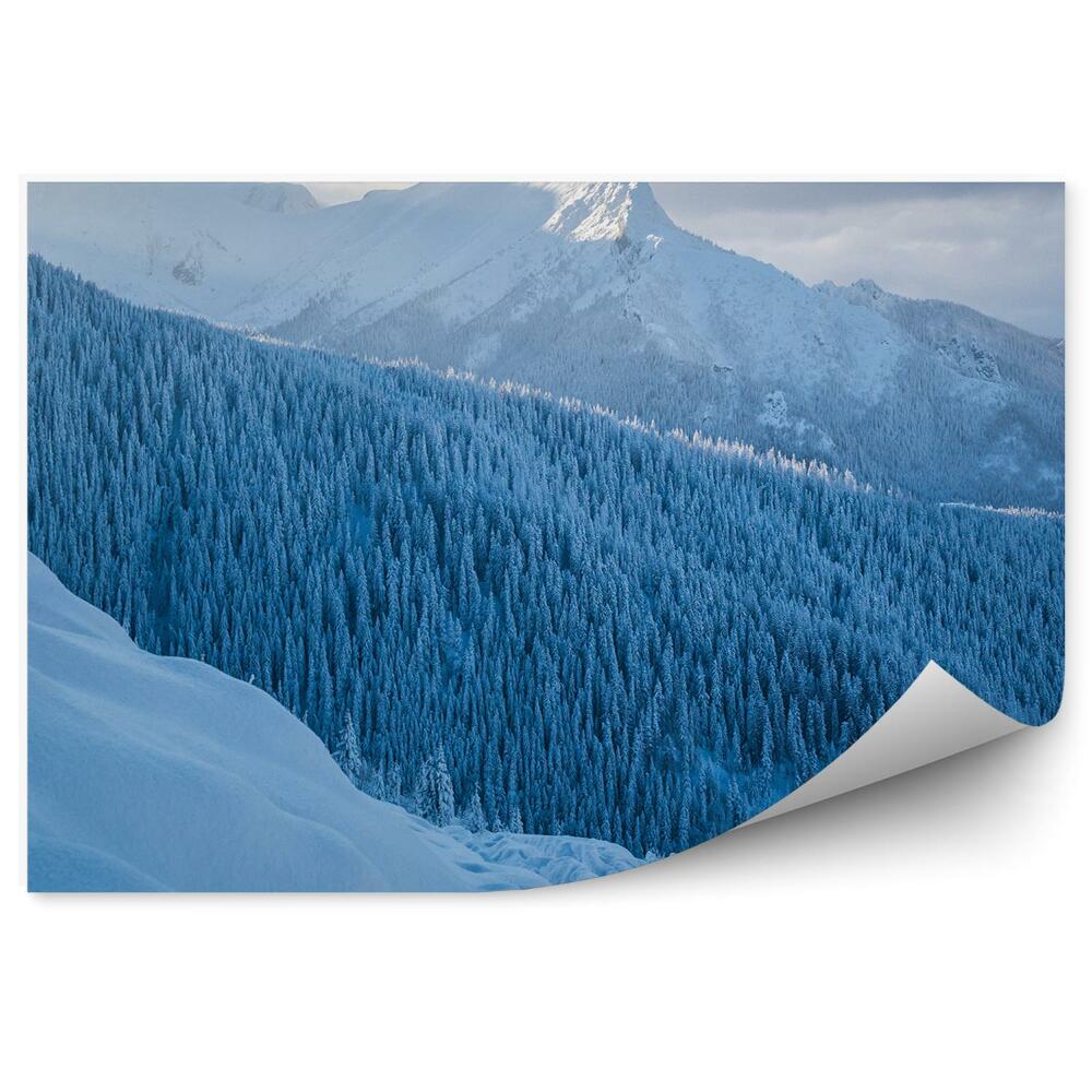 Fototapet Giewont Munții Tatra Conifere Zăpadă Cer Nori