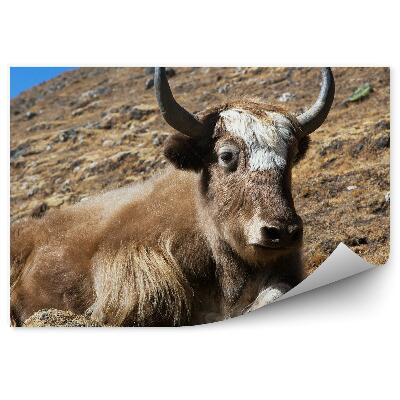 Fototapet pentru perete La Fel Ca Himalaya Și Munții Nepalului