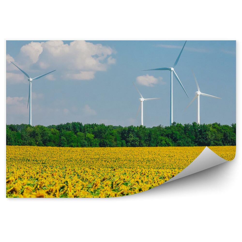 Fototapet pentru perete Câmp de floarea soarelui mori de vânt copaci cer nori flori