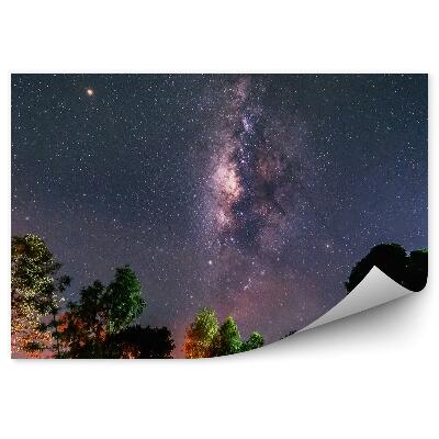 Fototapet vintage Calea Lactee Stele Spațiu Praf Copaci Lumini Colorate Noapte