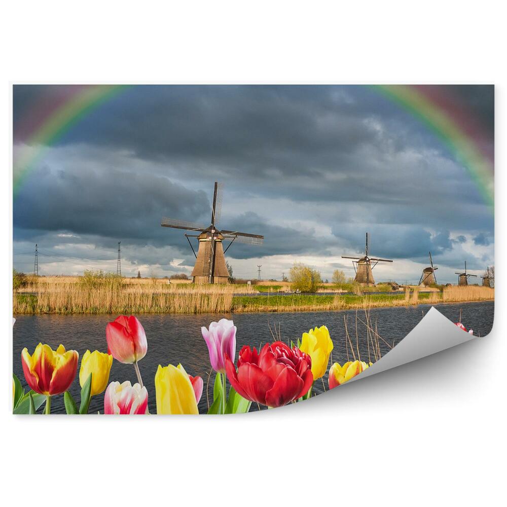 Decor fototapet Lalele Mori De Vânt Ocean Iarbă Cer Nori Curcubeu