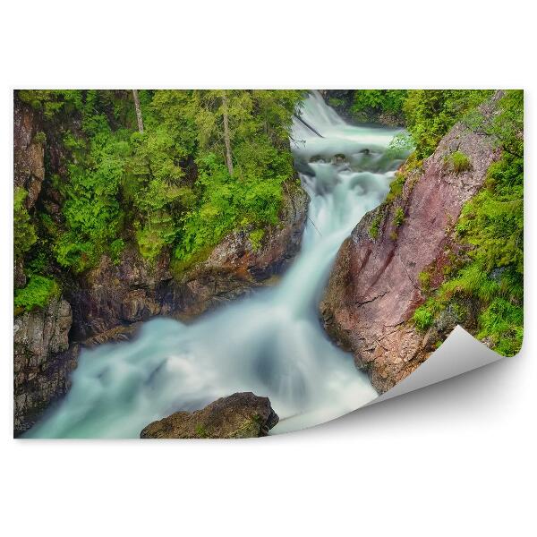 Fototapet pentru perete Apa Cascadelor Stâncă Copacii