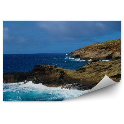 Fototapet vintage Coasta Oceanului Verde Hawaii Cer