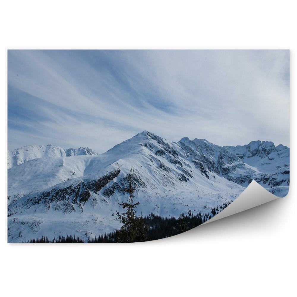 Fototapet pentru perete Munți Zakopane Zăpadă Iarnă Cer Nori Conifere Munții Tatra