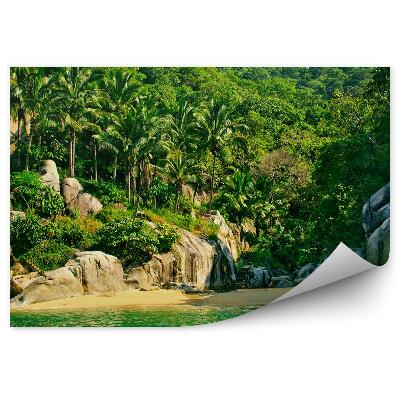 Decor fototapet Plaja mexic natura palmieri stânci scări de lemn