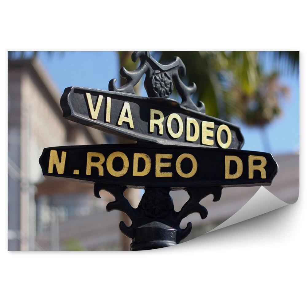 Decor fototapet Semn stradal al orașului palmierii din California