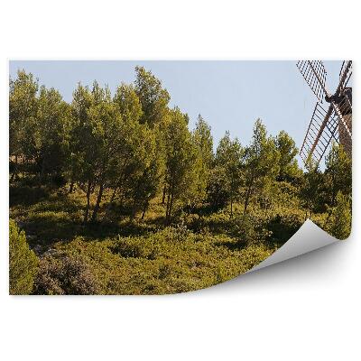 Decor fototapet Moara De Vant Padure Copaci Cer Provence Franta