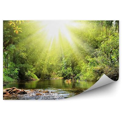 Fototapet perete Pădure râu natura vegetație Thailanda