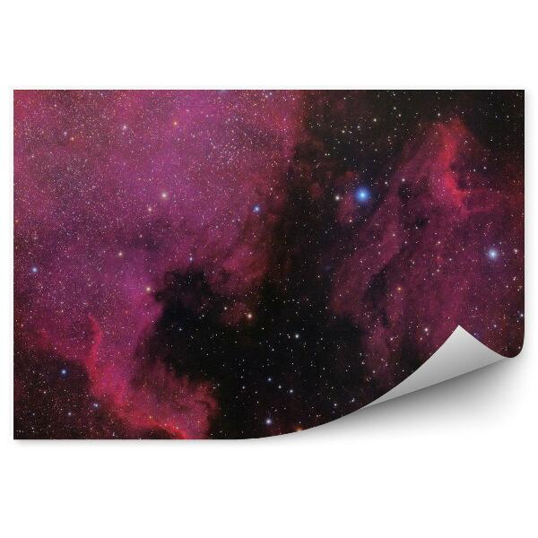 Decor fototapet Pelican Nebuloasă Nebuloasă Stea Model Artistic