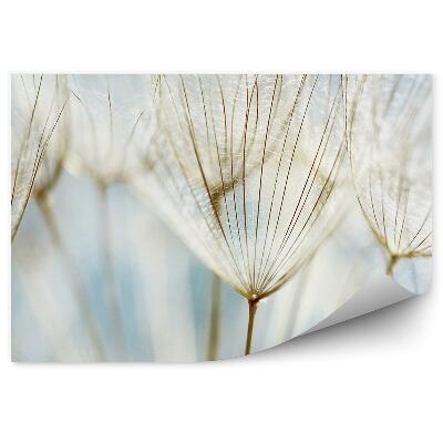 Decor fototapet Abstracția florilor de păpădie