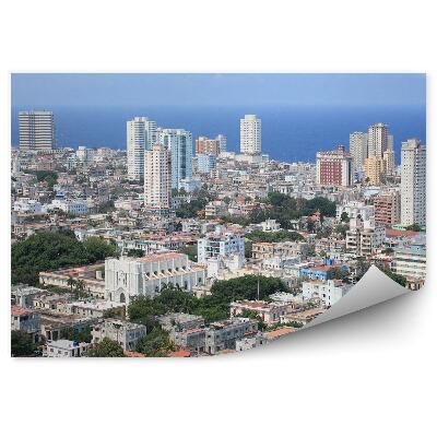 Fototapet pentru perete Vedere Aeriană Zgârie-Nori Insulele Canare Cer Nori Copaci