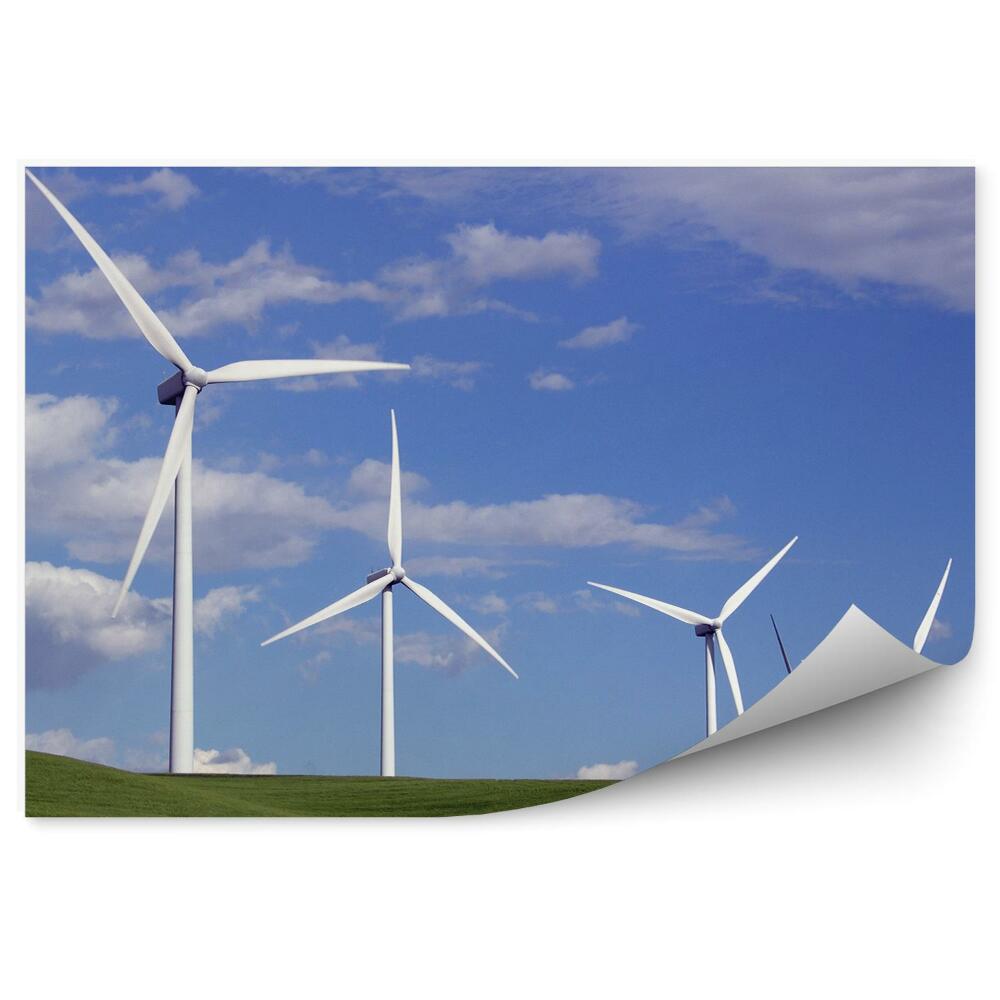 Decor fototapet Moară de vânt albă Câmpuri verzi