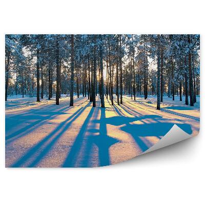 Decor fototapet Pădure De Iarnă Răsărit