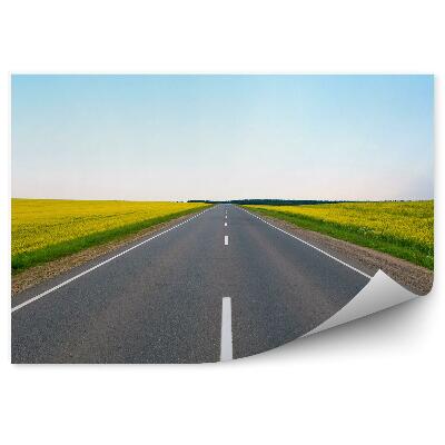 Decor fototapet Câmp de flori galbene înflorite drum