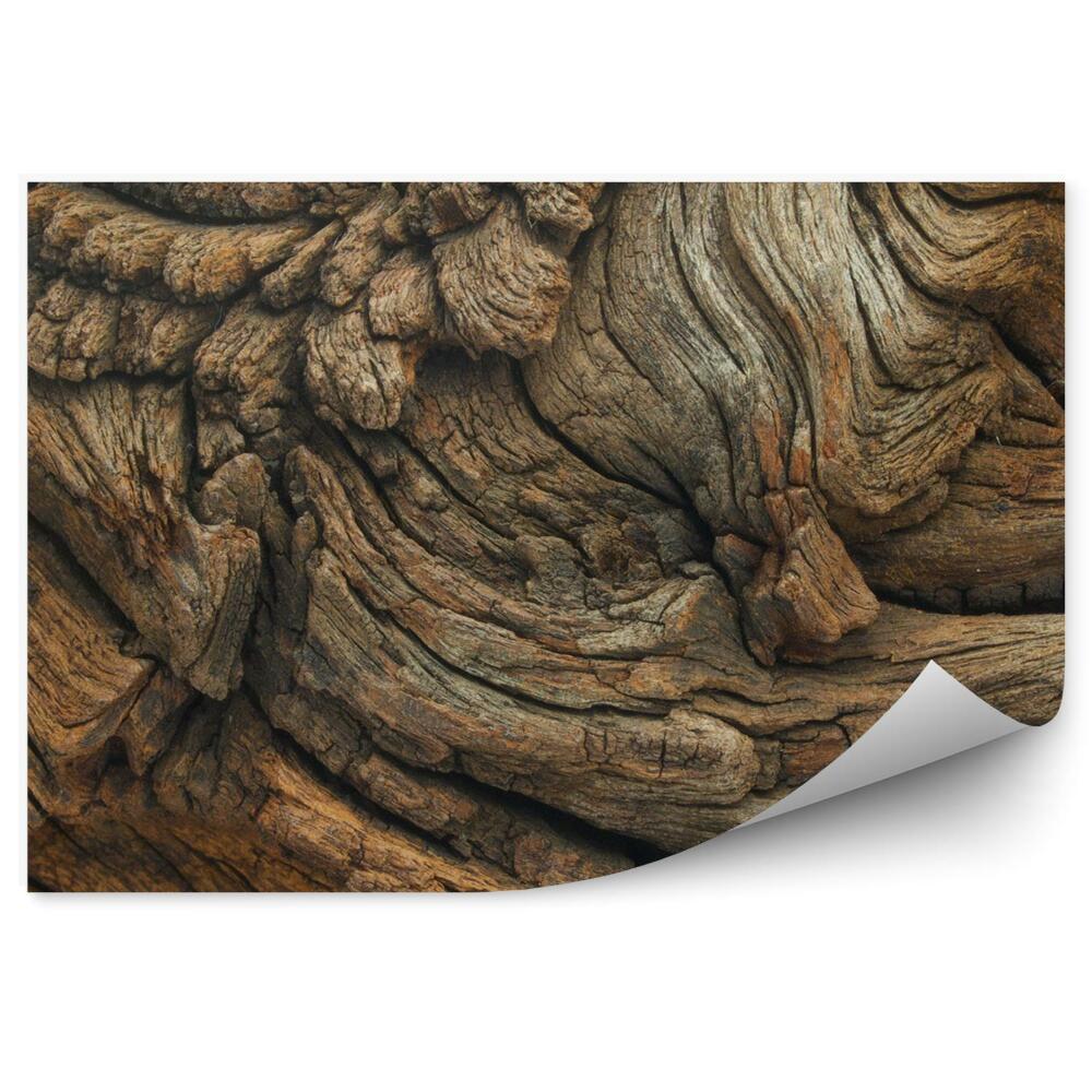 Decor fototapet Lemn De Stejar