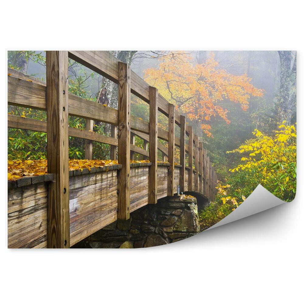 Fototapet Poduri Frunze Copaci Tufe Frunze Cer