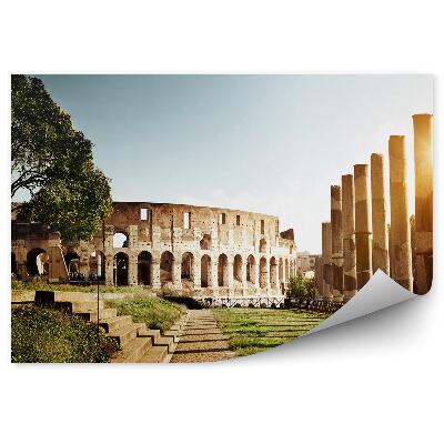 Fototapet pentru perete clădire istorică Colosseum coloane cale de acces