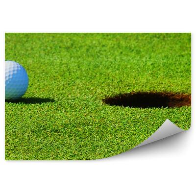 Fototapet Gaură minge de golf