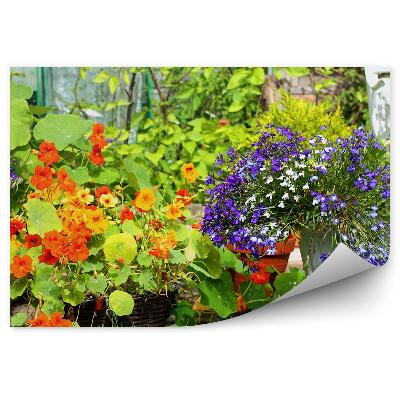 Fototapet Flori Colorate De Grădină De Vară