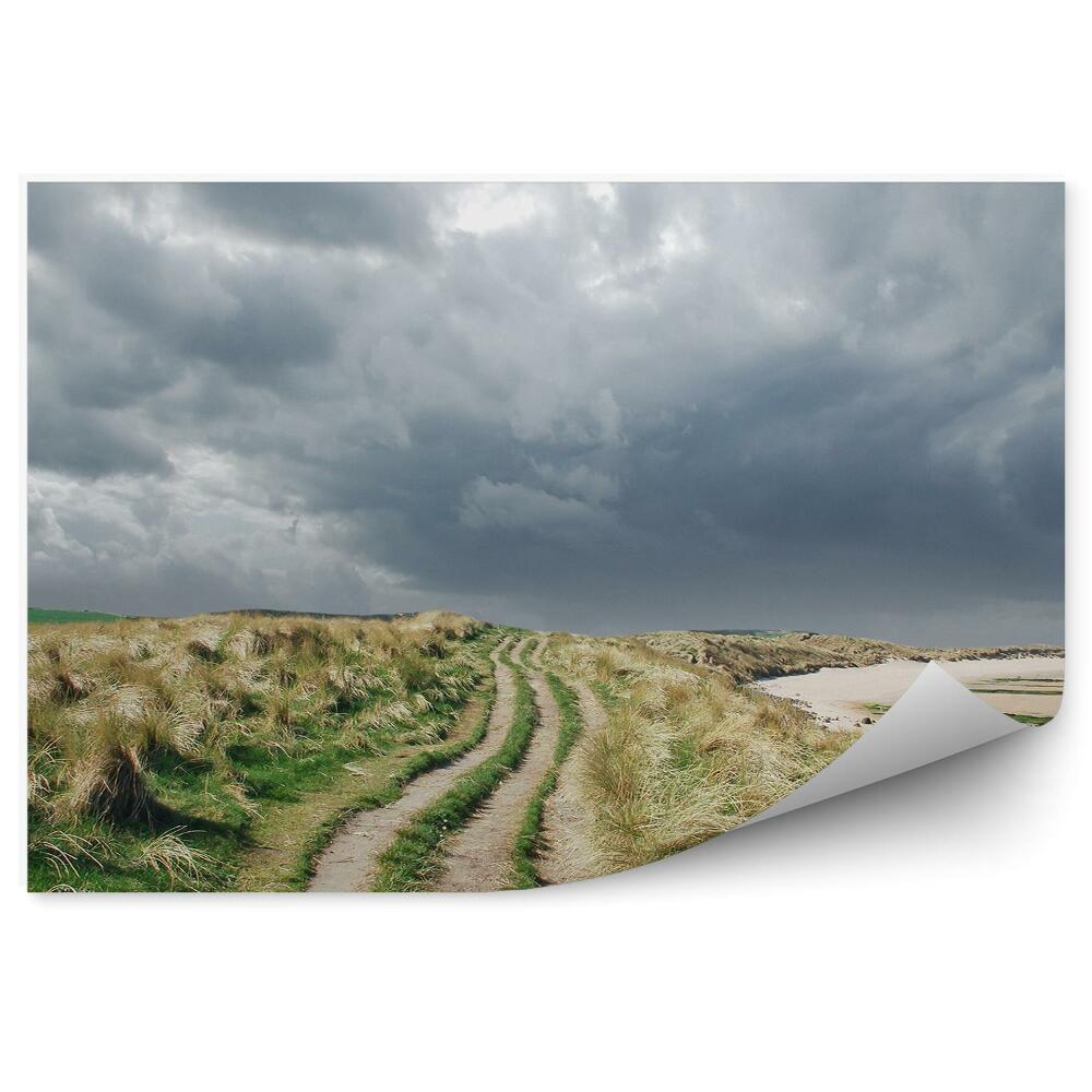 Decor fototapet Poteca Cu Iarbă Cu Cer Înnorat