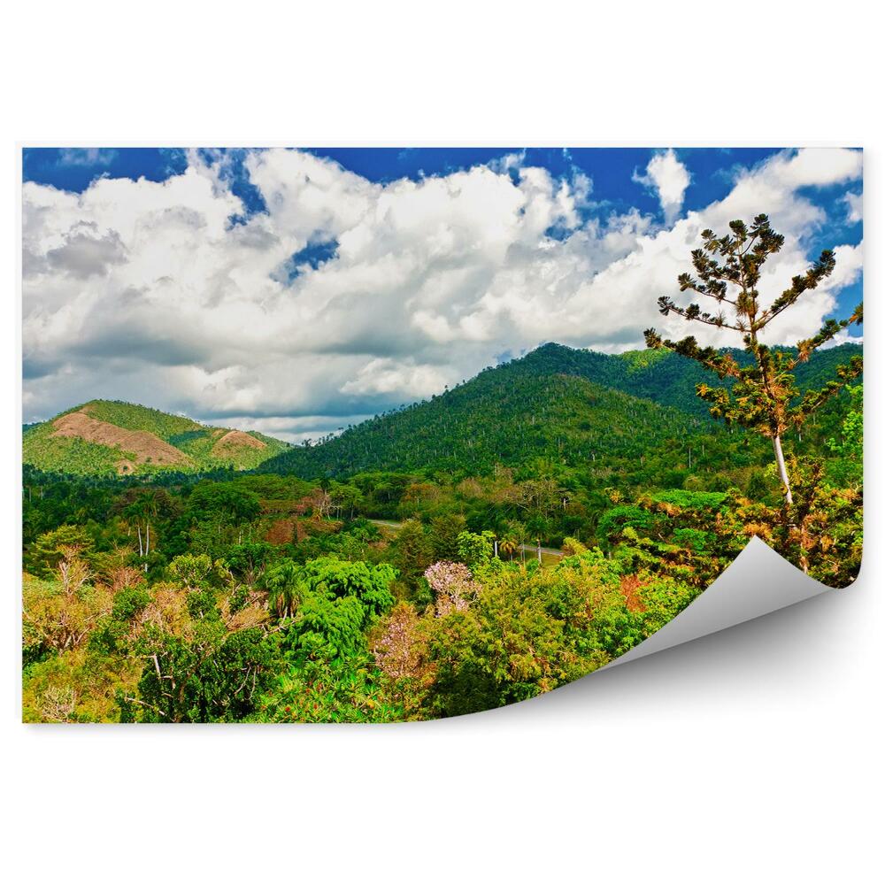 Fototapet vintage Munții tropicali văi natura vegetație verde