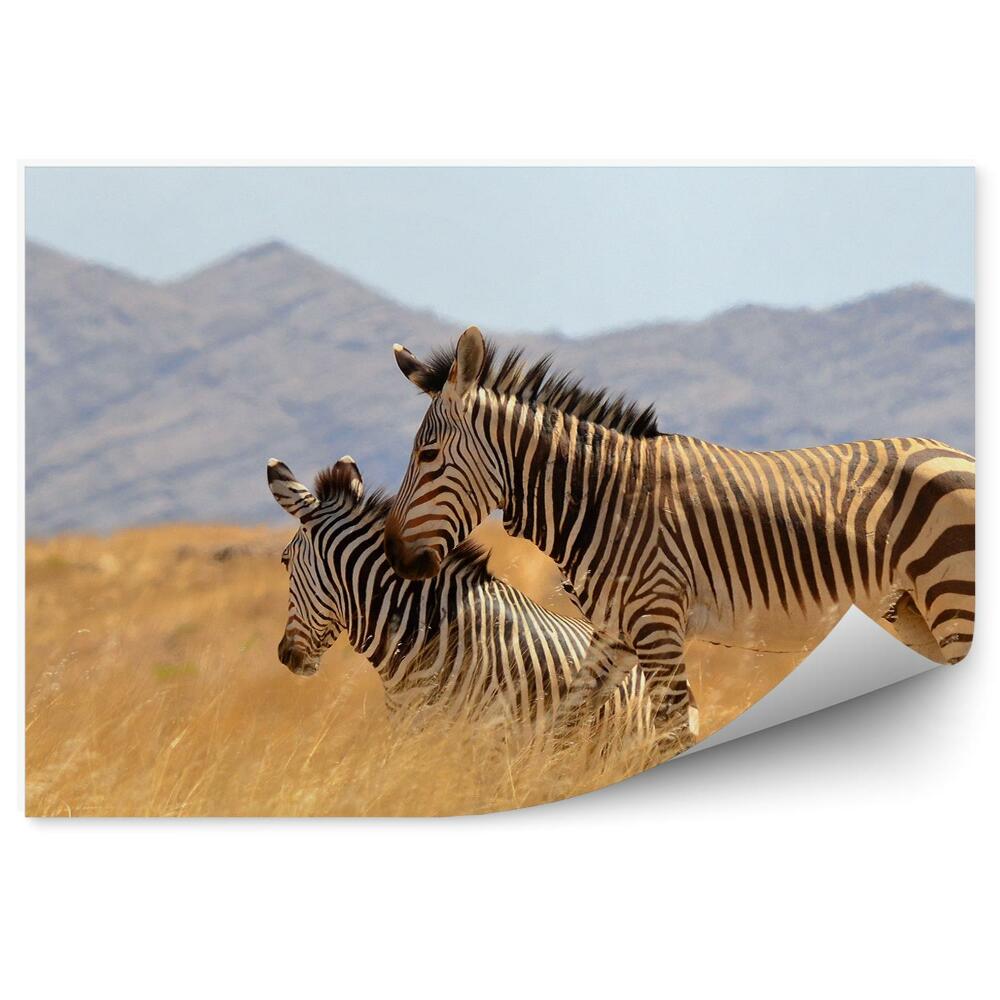 Fototapet pentru perete Frumoasa Savana Cu Zebre Din Namibia