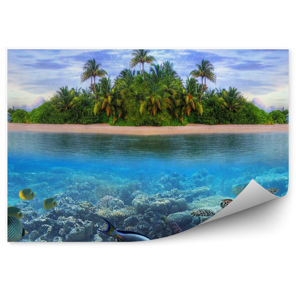 Decor fototapet Viața marină a insulei tropicale Maldive