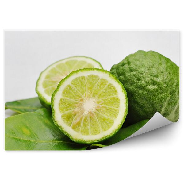 Fototapet perete Frunze verzi citrice de bergamot pe fundal alb