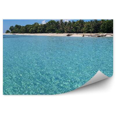 Fototapet perete Insulă Cu Apă Cristalină Cu Vegetație Luxuriantă