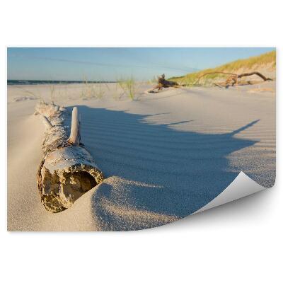 Fototapet vintage Iarba Copac De Plajă