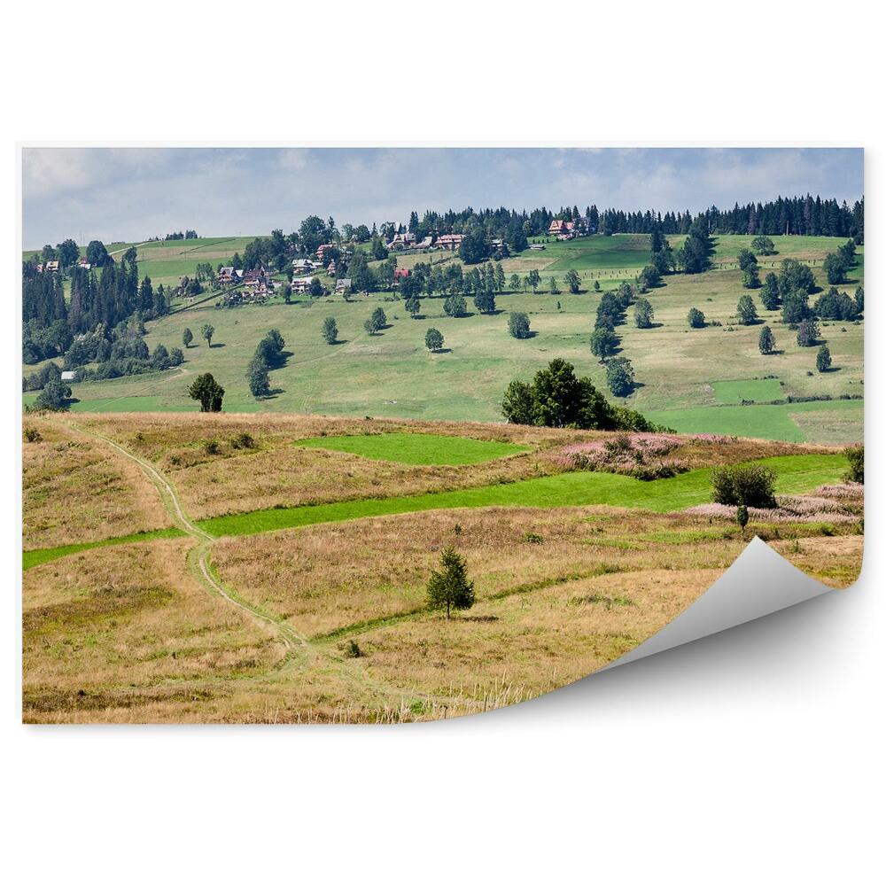 Fototapet perete Calea De Luncă Copaci Plante Peisaj Rural