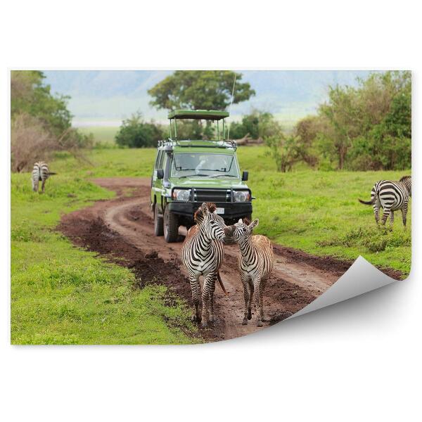 Fototapet vintage Animale Zebră Verde De Safari
