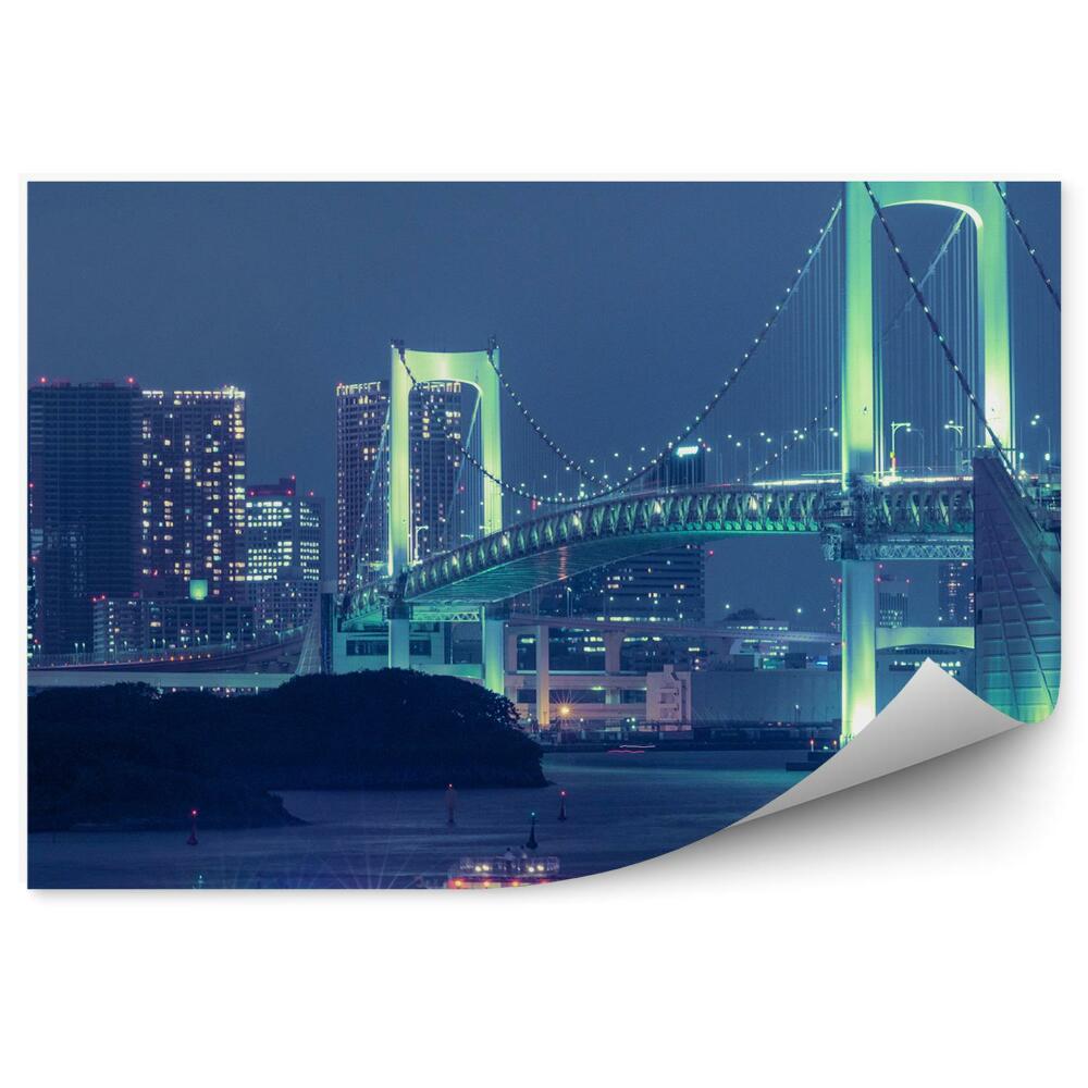 Decor fototapet Pod iluminat, trafic de nave, oraș