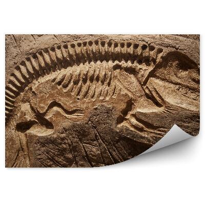 Fototapet pentru perete Reflectarea Unui Schelet De Dinozaur