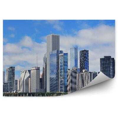 Fototapet pentru perete Zgârie-Nori Copaci Ocean Ocean Iahturi Cer Nori