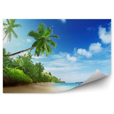 Fototapet pentru perete Plajă Palmieri Ocean Cer Nori Seychelles