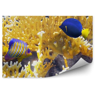 Fototapet vintage Lumea Subacvatică De Apă De Recif De Pești Colorați