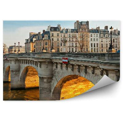 Fototapet vintage Poduri Frumoase Clădiri Cer Râu Sena Lămpi Mașini
