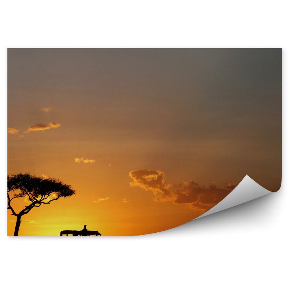 Fototapet perete Apus Negru Contururi Natura Animale Safari