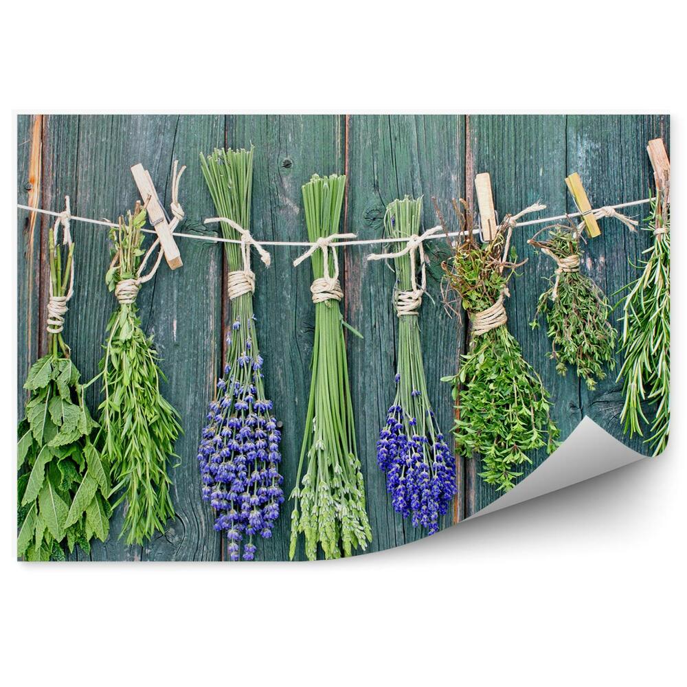 Fototapet Ierburi proaspete, frânghie, cleme de lemn