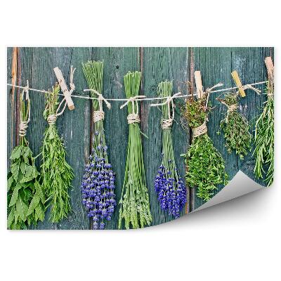 Fototapet Ierburi proaspete, frânghie, cleme de lemn